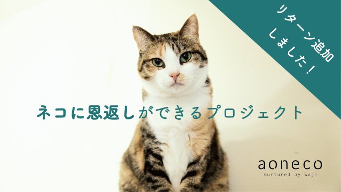 第2弾 限定ネコグッズで保護ネコ支援 商品代金の約10 が保護ネコの食費や治療費に繋がるプロジェクト Creema Springs