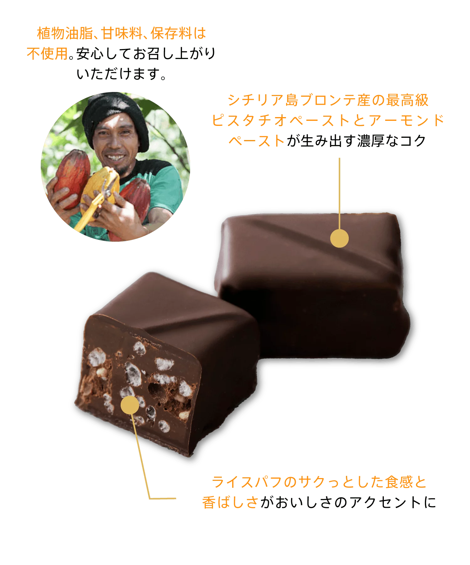 希少高級ピスタチオ使用 2種類のナッツが生み出すコク深い究極のピスタチオプラリネチョコレート Creema Springs