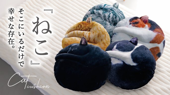 受注会】次猫リクエストNO.1に輝いた“黒猫”誕生！ねこのまんまる