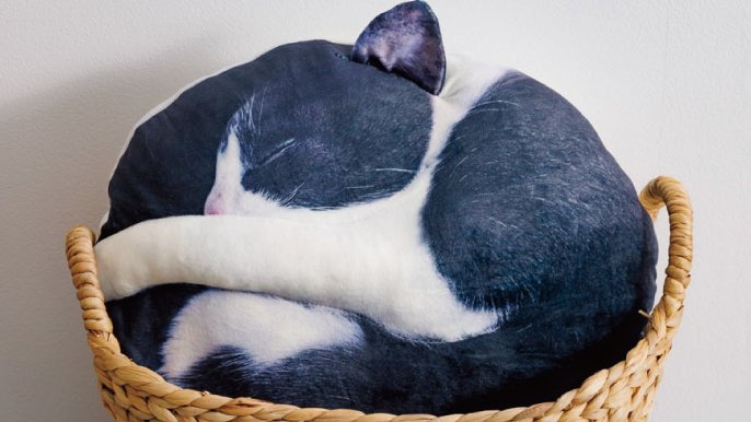 受注会】仲間が増えました！猫の寝姿から生まれた『necomaru〜ね