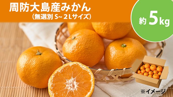 甘くて濃い！瀬戸内の恵みをもう一度 ～前回好評の周防大島旬のみかん