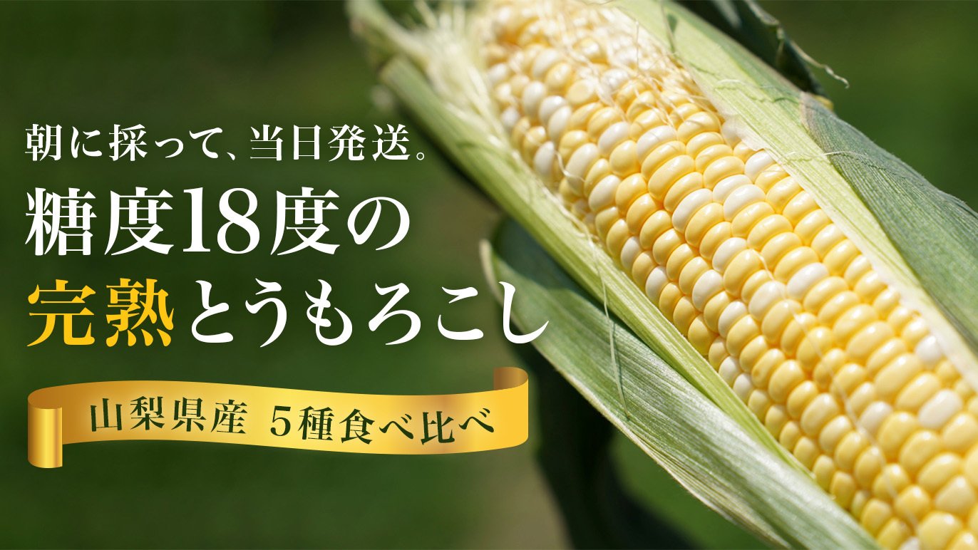山梨県の朝どれ完熟とうもろこし” 当日直送で最高鮮度の5種を食べ比べ