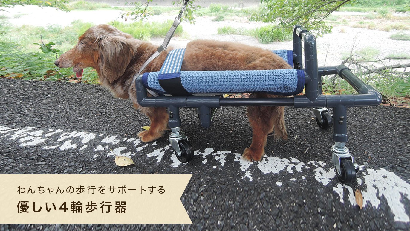 柴犬4輪 リハビリ 食事補助 犬用車椅子 シニア犬介護 犬の歩行器 （M  