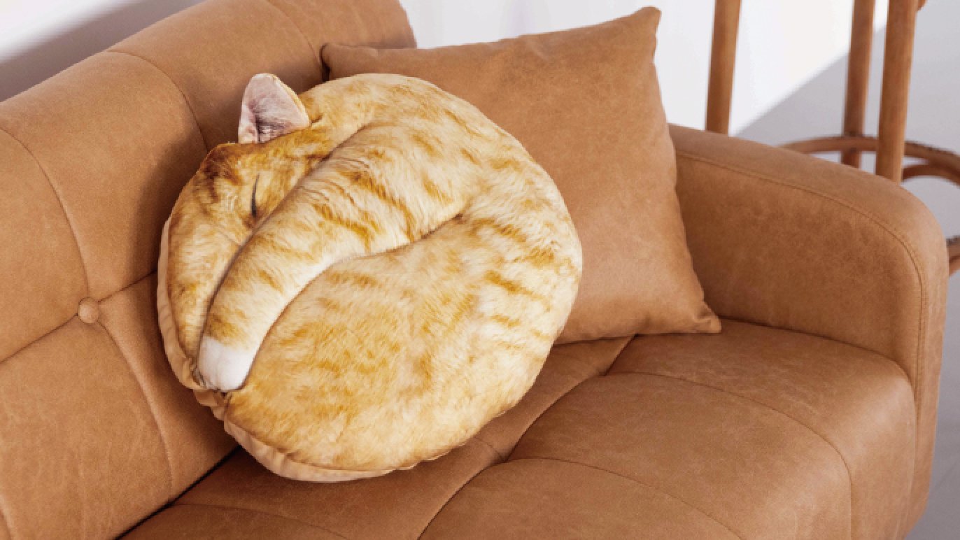 受注会】仲間が増えました！猫の寝姿から生まれた『necomaru〜ねこの 