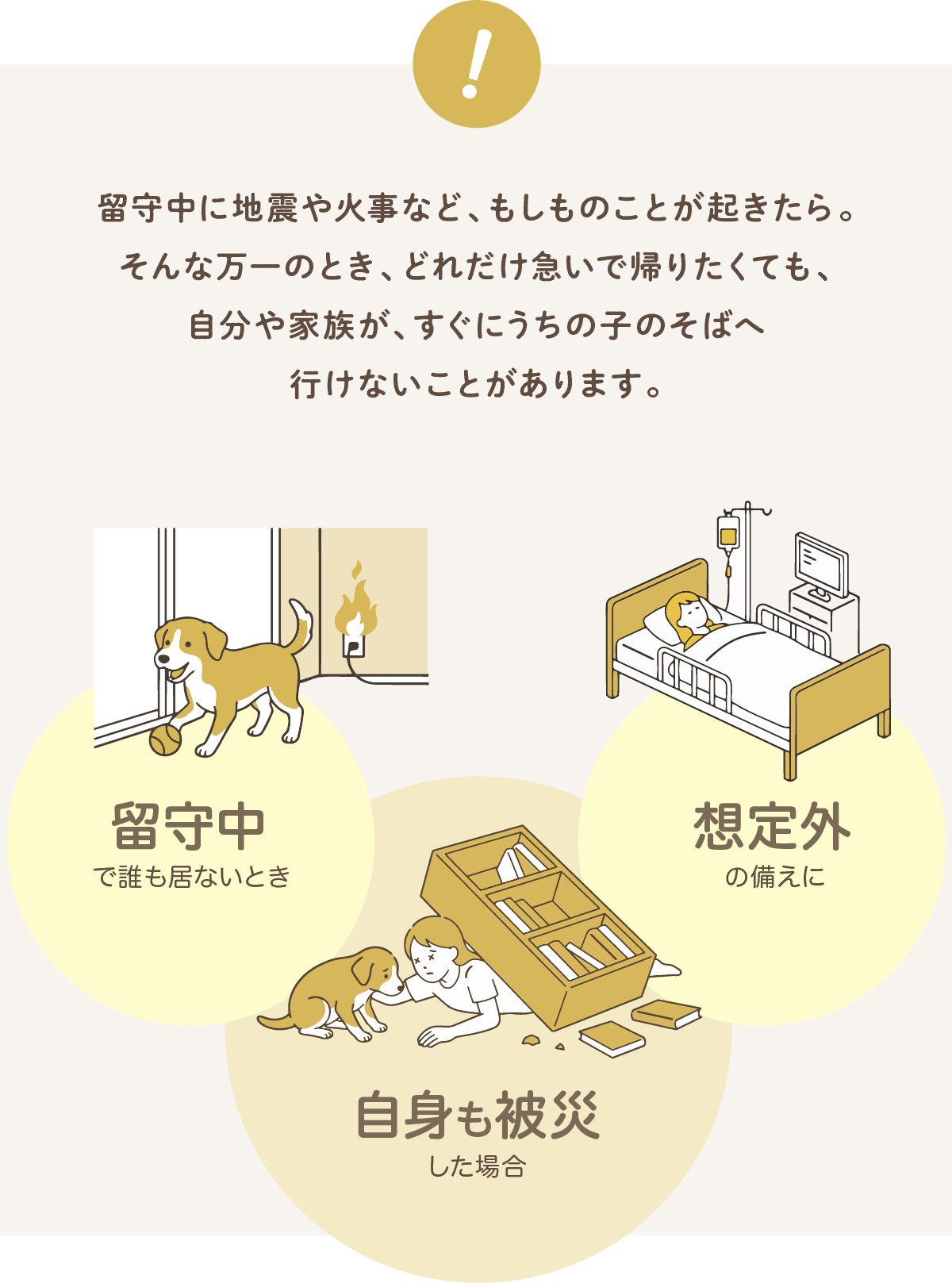 うちの子を守る、お守り防災セット｜もしもに備える、ペットレスキュー