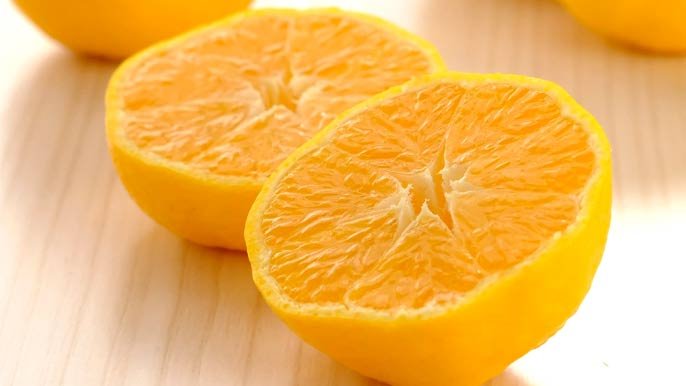 10年の研究が実を結ぶ！希少みかん「媛小春（ひめこはる）」 の先行