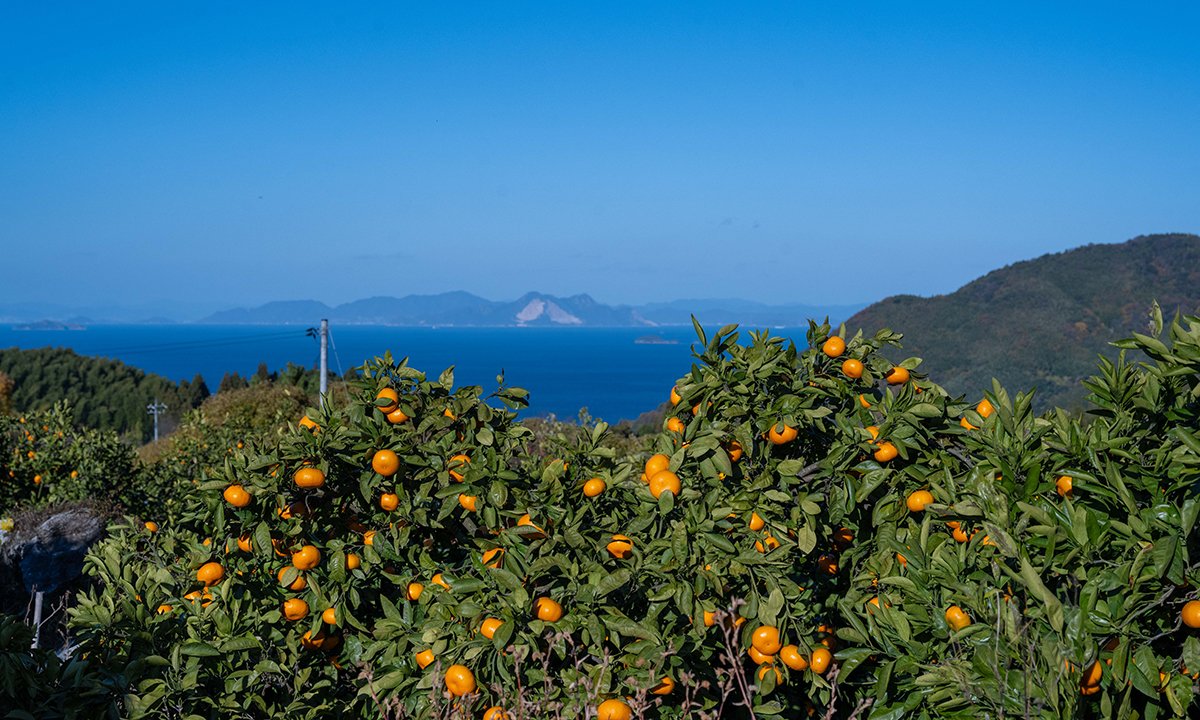 美味しく味わい、産地を支える 〜
