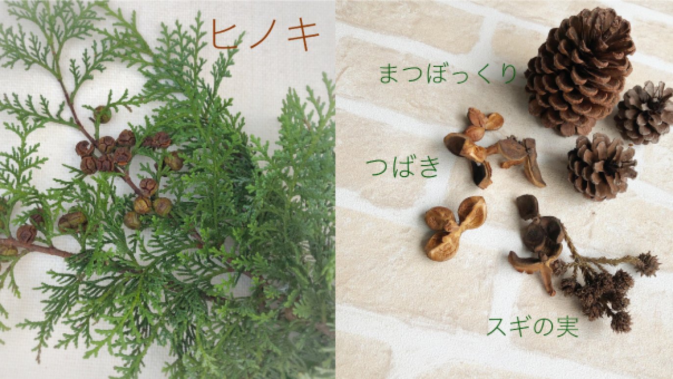 7d101e9b-05aa-421d-a633- 