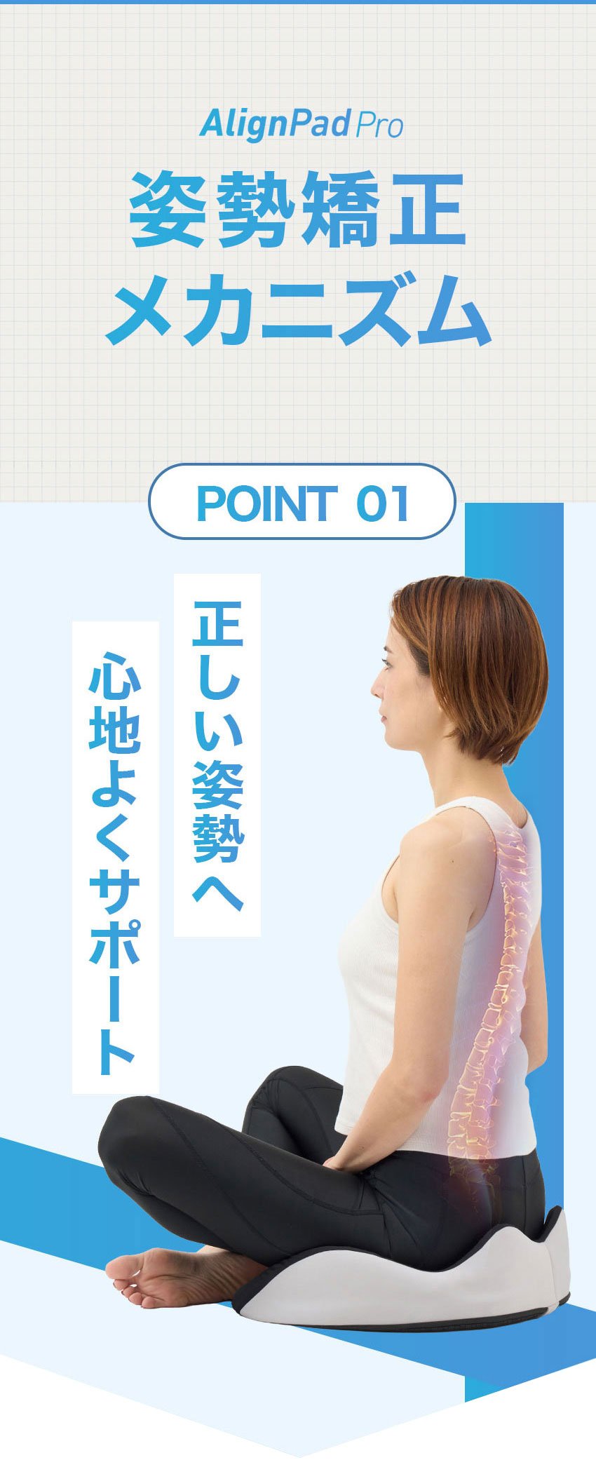 アラインパッド プロ AllignPad Pro 姿勢補正 クッション 骨盤矯正 座る 尿もれ 対策 クッション アラインパッドプロ 骨盤底筋 ケア 姿勢