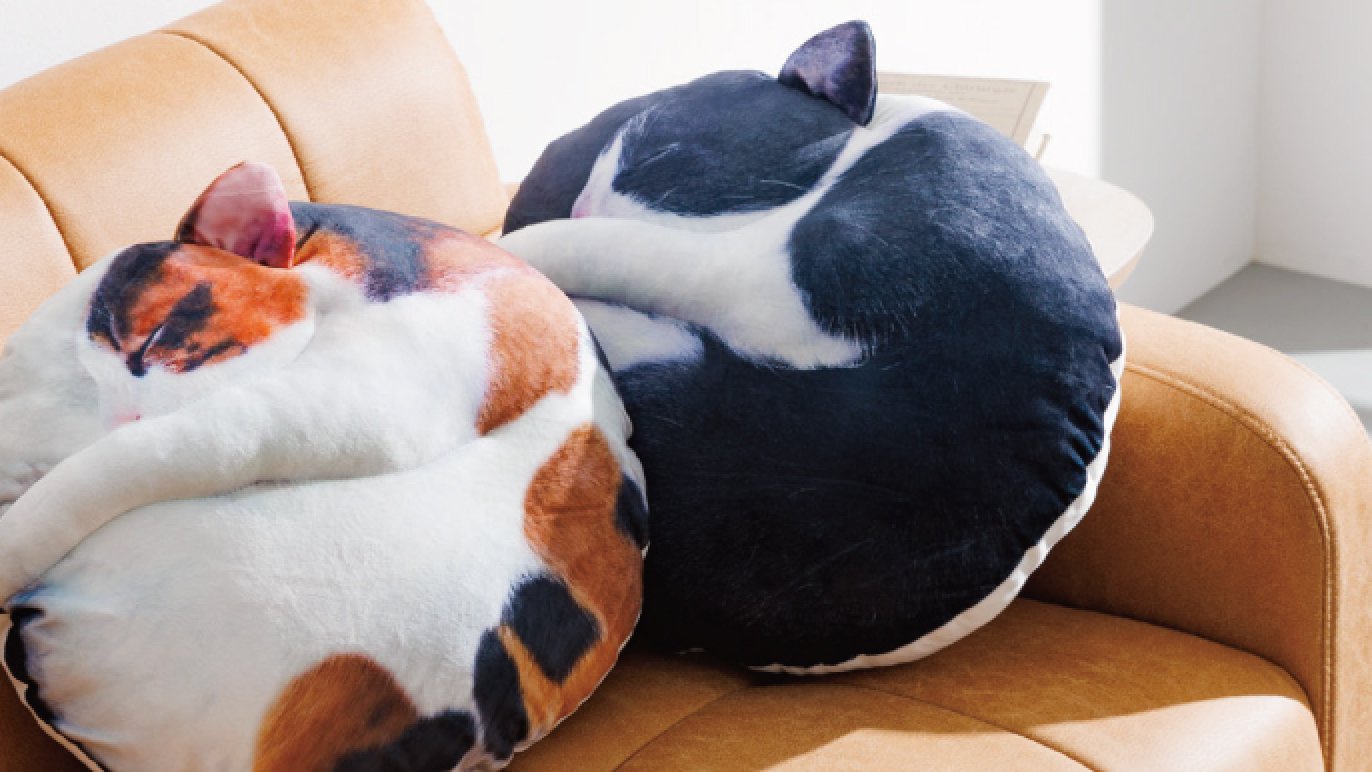 受注会】仲間が増えました！猫の寝姿から生まれた『necomaru〜ねこの 