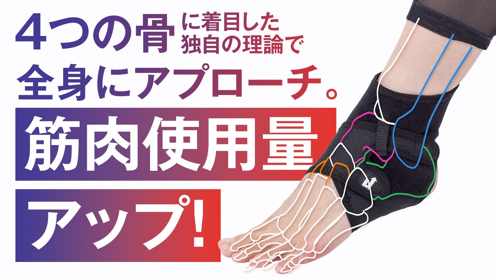 もっと楽に、筋肉使用量UP！足元ケアでカラダ、アガる！足裏サポーター