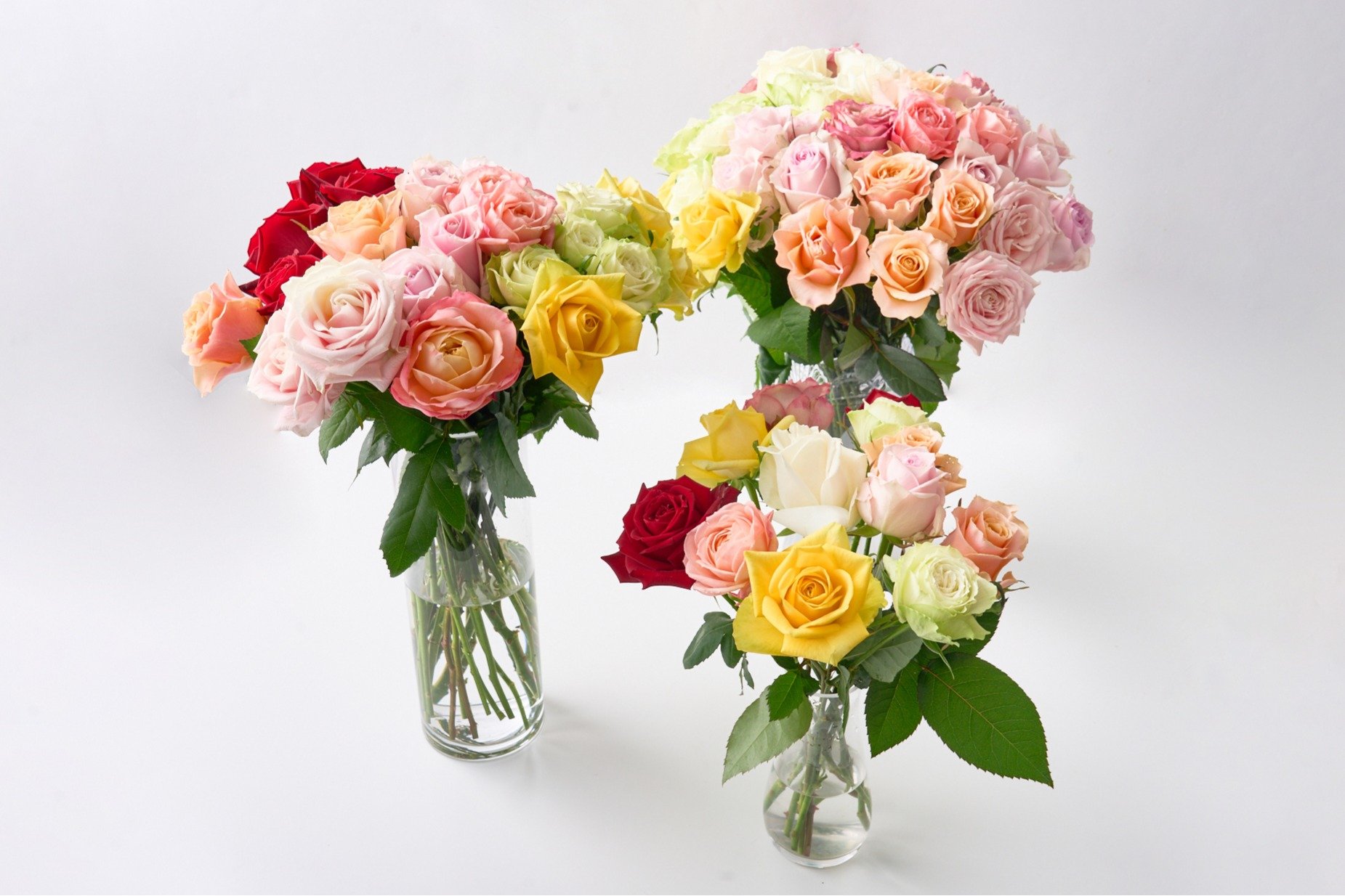 可憐で控えめ、夏だけの薔薇を――Creema SPRINGS限定の花束プロジェクト