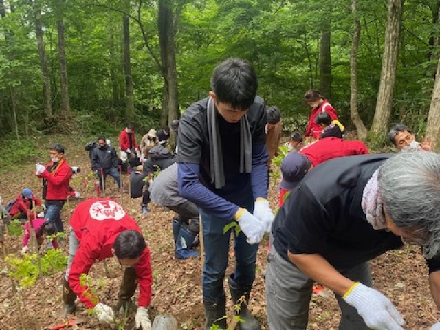 能登の山を復興させたい。石川の木材屋さんの製品を買って支援する