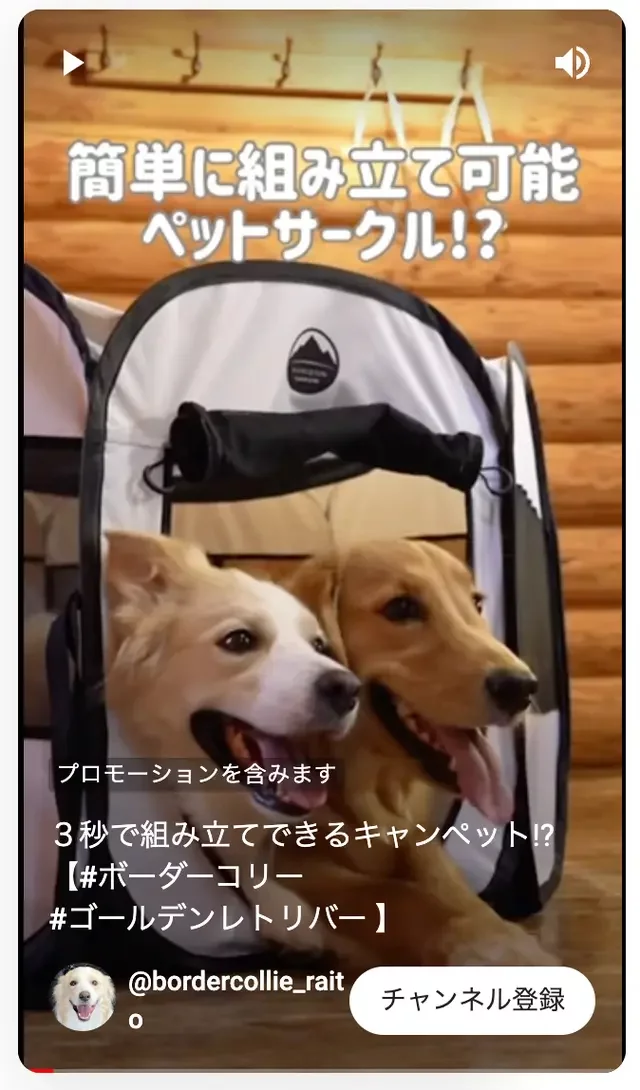 Amazon | 【HORIZON ARROW/キャンペット】（収納袋付き