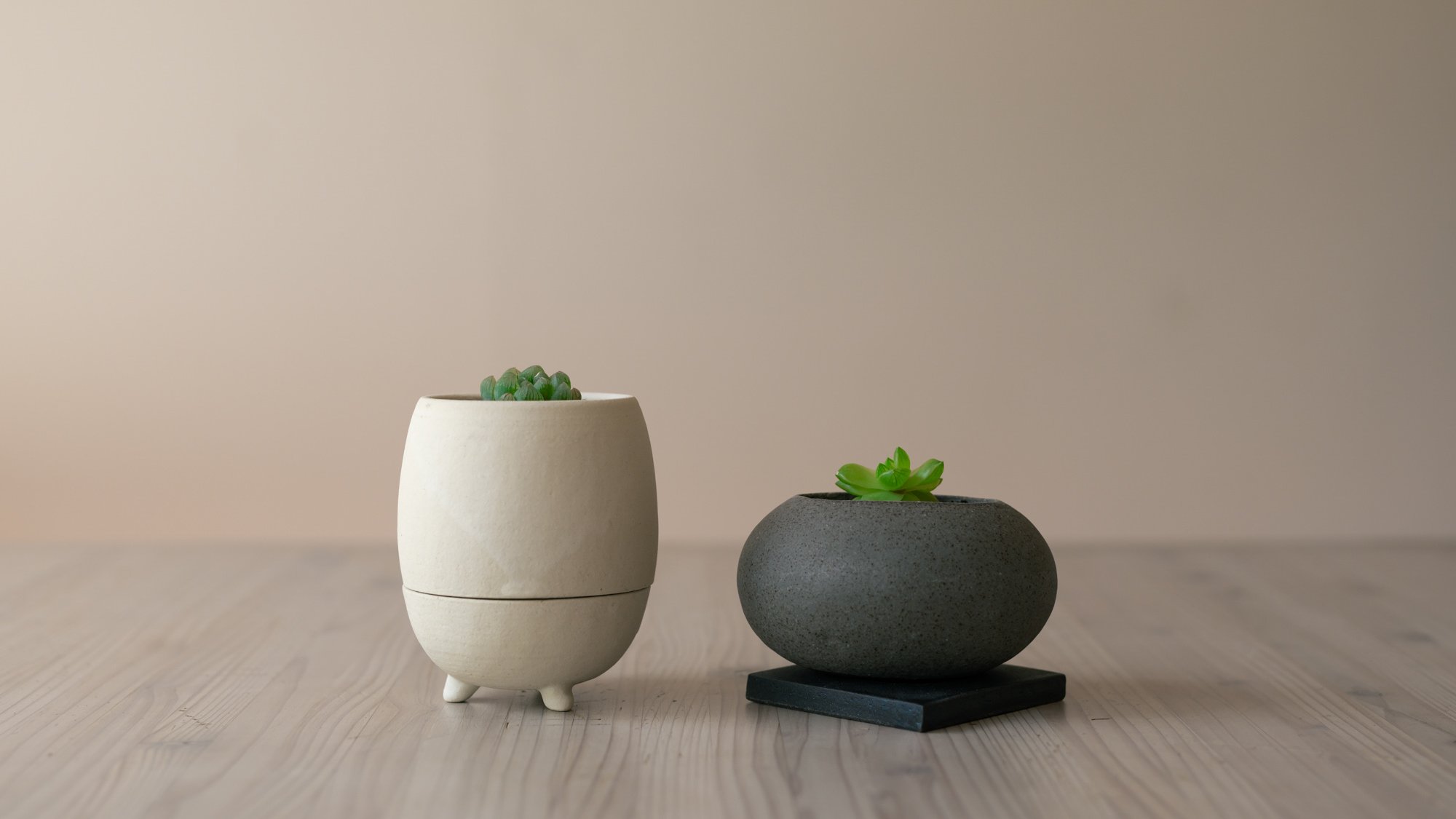ポテっと、コロンと、手のひらサイズの植木鉢。植物ビギナーでも安心の