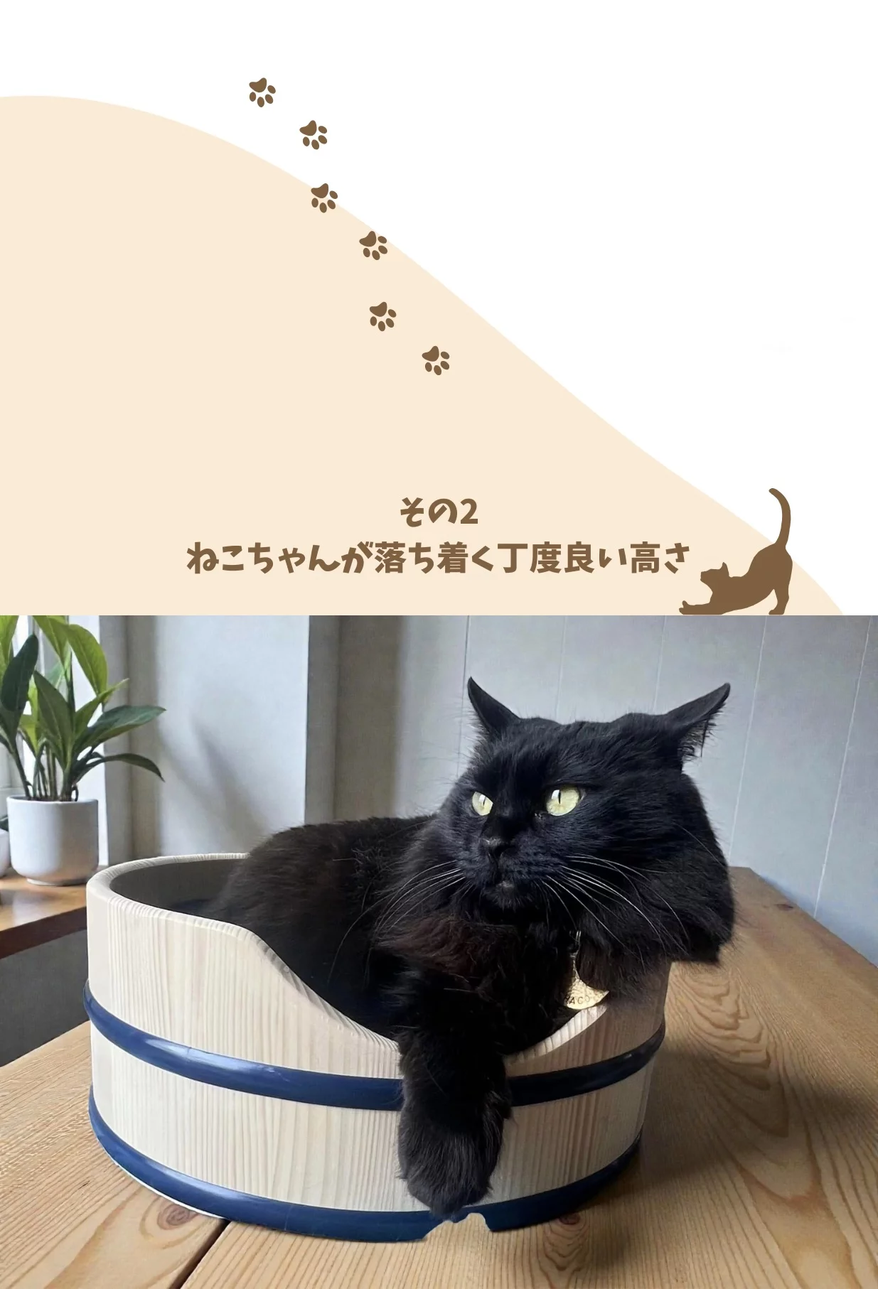 職人技を愛猫のために、2匹でピッタリ！癒しの丸みNERUKOベッド