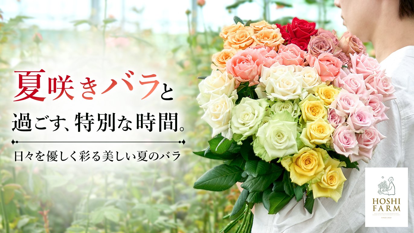 夏バラをもっと長く楽しむ。ホシファームが教える、ドライフラワーでも