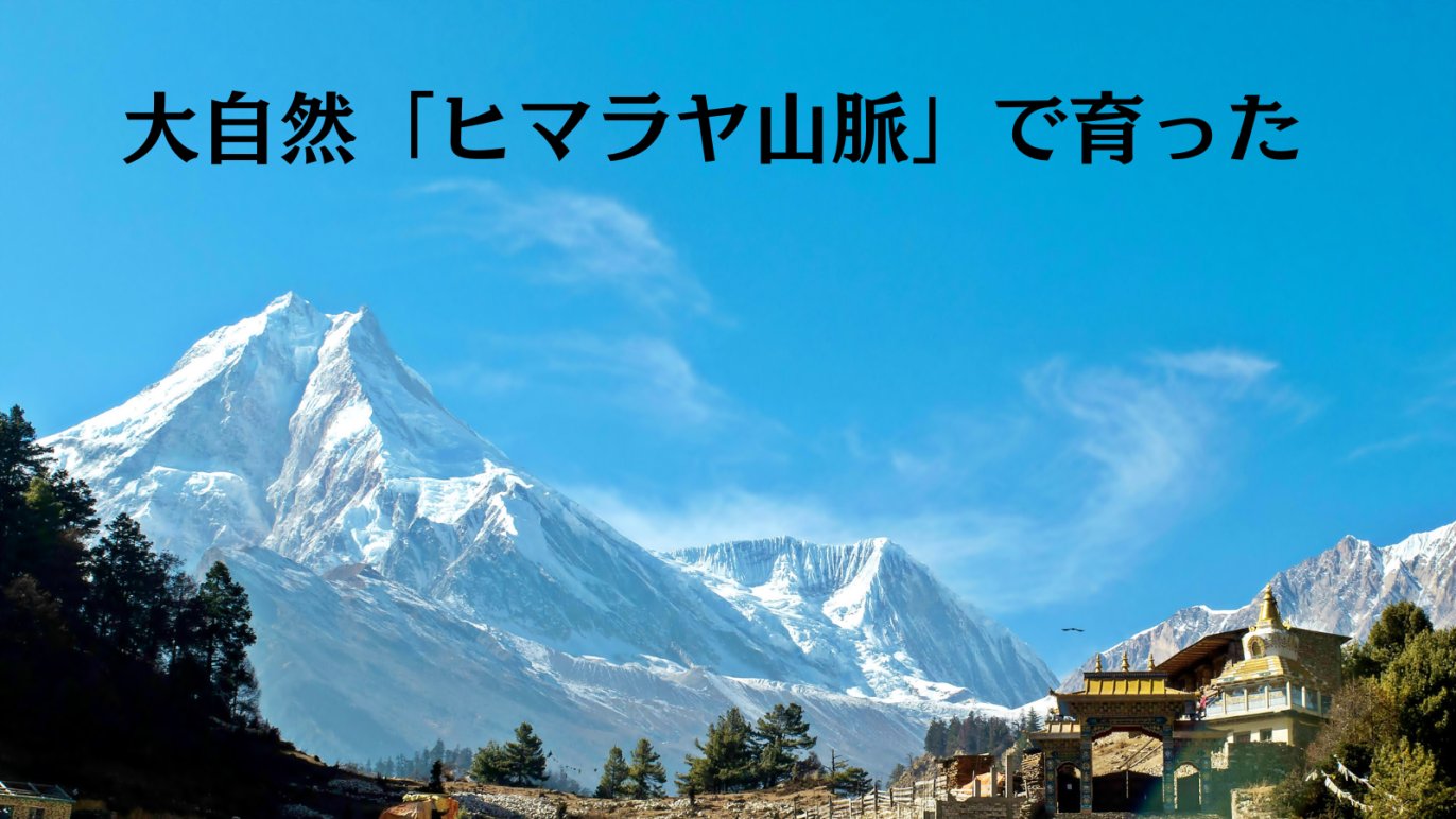 ヒマラヤ山脈の遊牧民が育てた【100%カシミヤ】鼻まで覆うハイカット