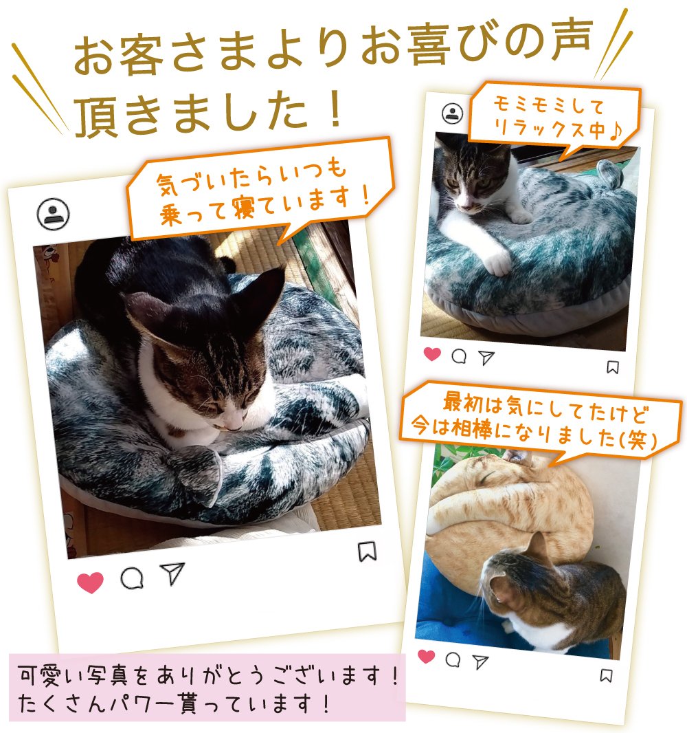 まるで猫！？な“necomaru〜ねこのまんまるクッション〜”でおうち時間に最高の癒しを届けたい！｜Creema SPRINGS