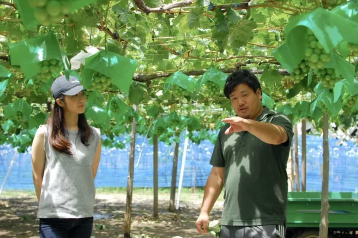 富士の輝き　三点まとめ maxresdefault.jpg