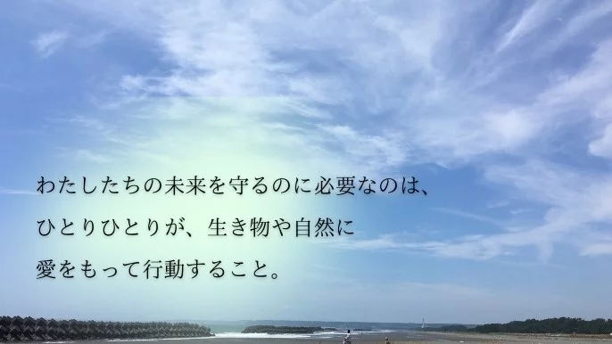 地球への恩返しをしたい〟環境保全の寄付につなぐ、自然を感じるアクセサリーをあなたの笑顔のお守りに！｜Creema SPRINGS