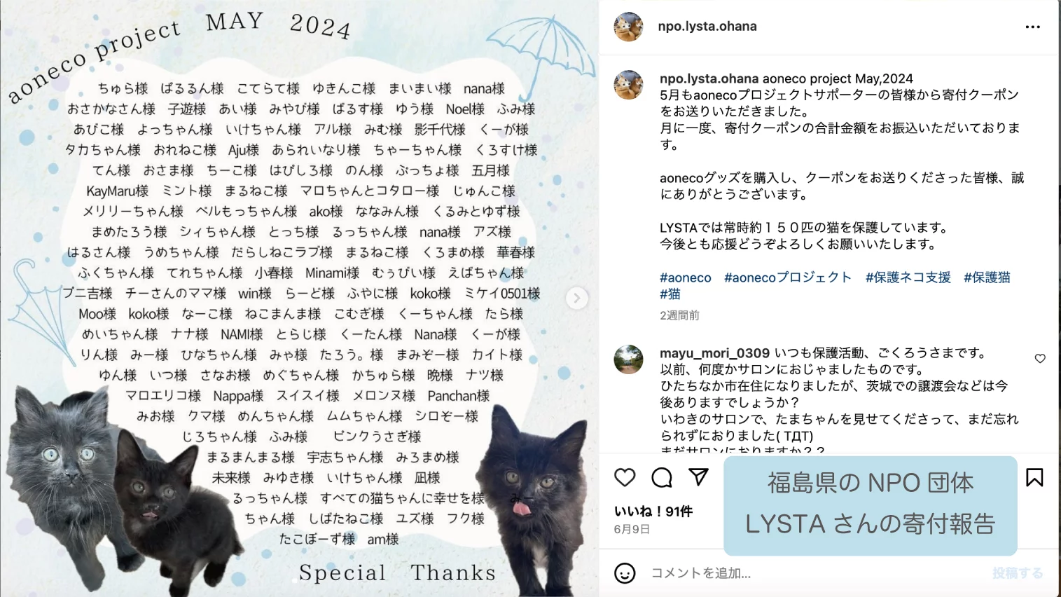 猫に恩返し】お品代10%が保護ネコの食費や治療費につながる 