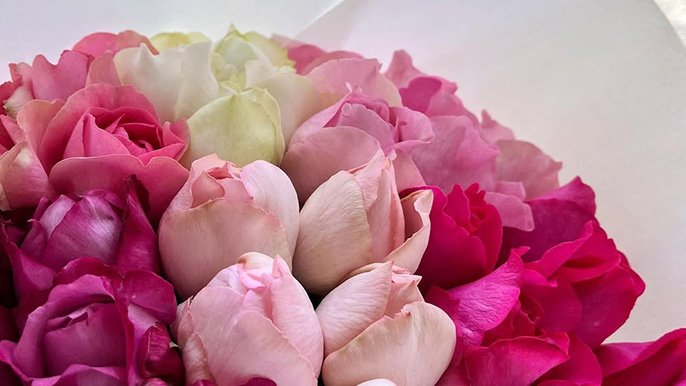 6月末〆切】今季最後の“香るバラの朝摘み花束” CreemaSPRINGS限定で