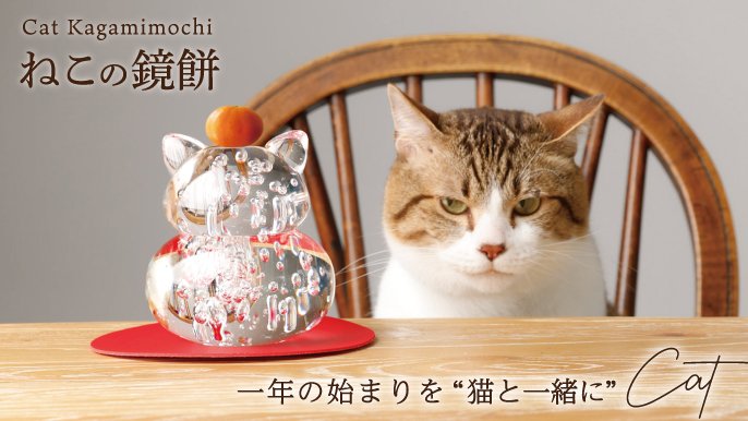 200万円突破】にゃんと癒される猫のカタチの『ねこの鏡餅』〜円満な年重ね・家庭と夫婦円満を込めて〜｜Creema SPRINGS