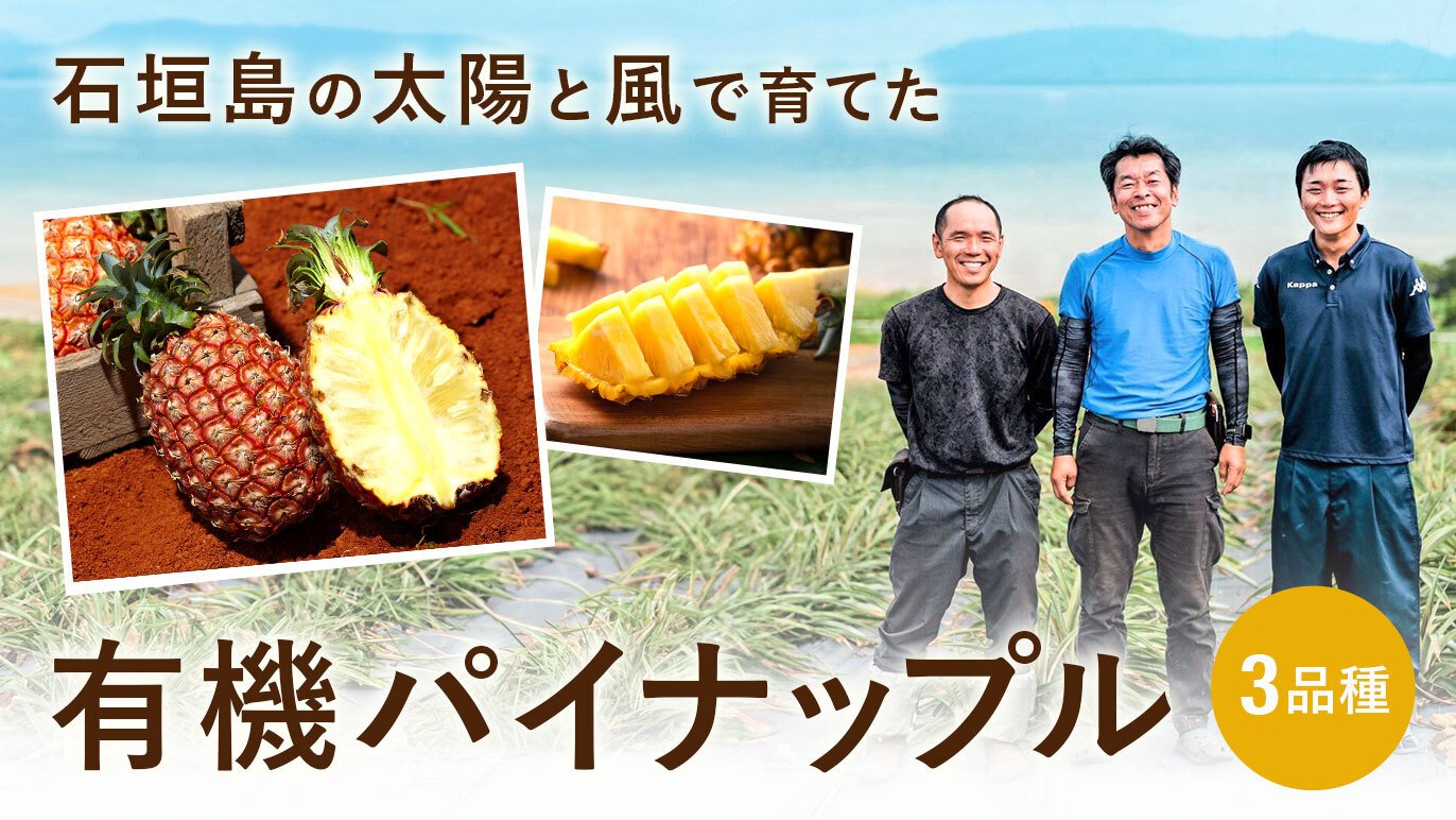 国産◉3品種から選べる】石垣島の太陽と風が育てた、奇跡の有機