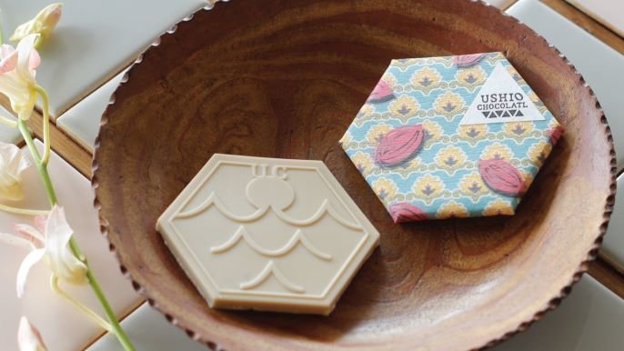 チョコカーで日本一周中！日本中の「