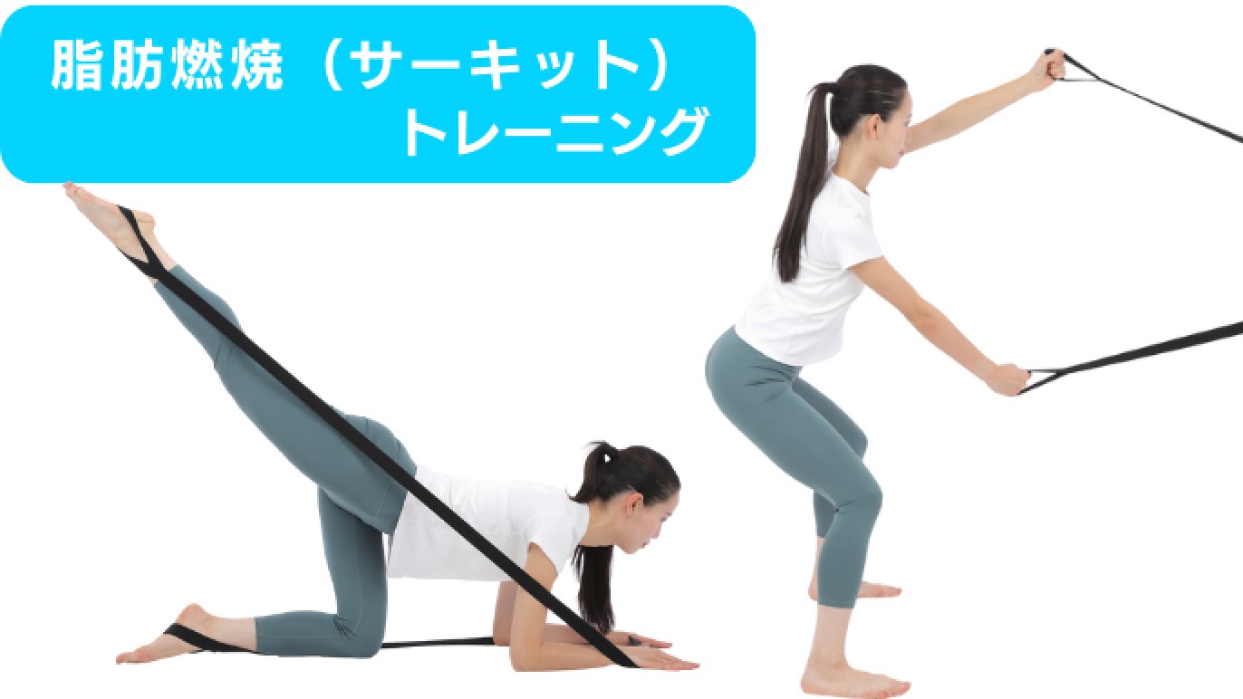 自宅がトレーニングGYMになる！』これ1つで様々な強度・種類の