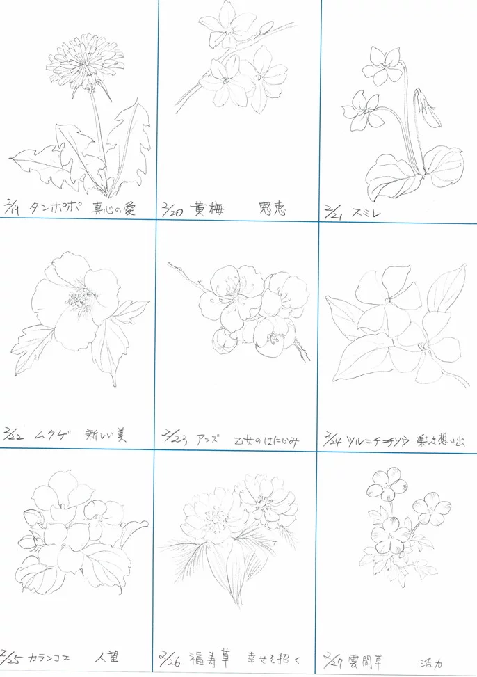 366日の誕生日の花をモチーフにあなただけのうつわを作ります Creema Springs 366日の誕生日の花をモチーフにあなただけのうつわを作ります Creema Springs