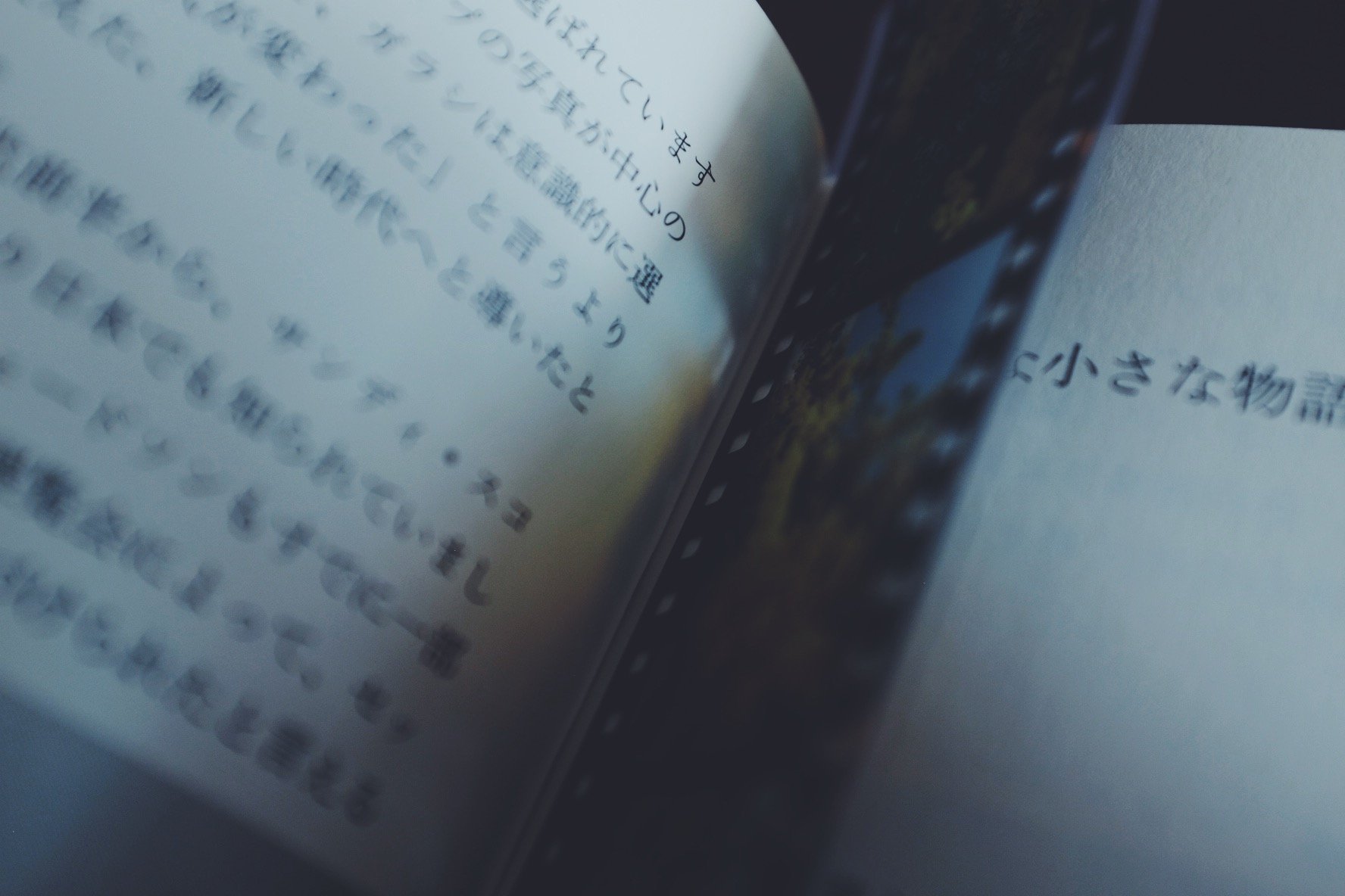 リターン選択｜Creema SPRINGS