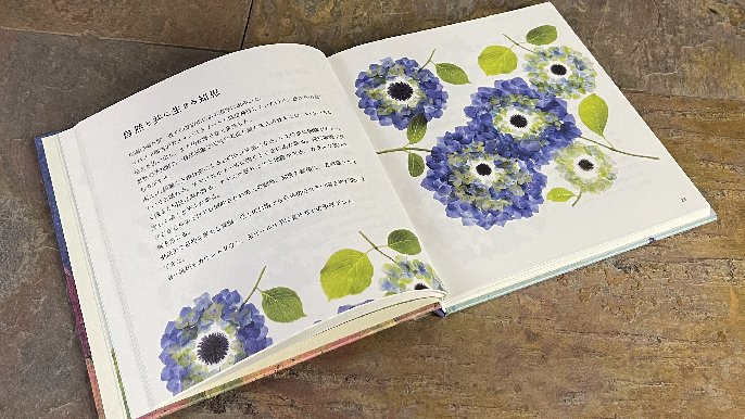 理化学ガラスの花瓶「MEDIFLA」で癒やしのひとときを｜Creema