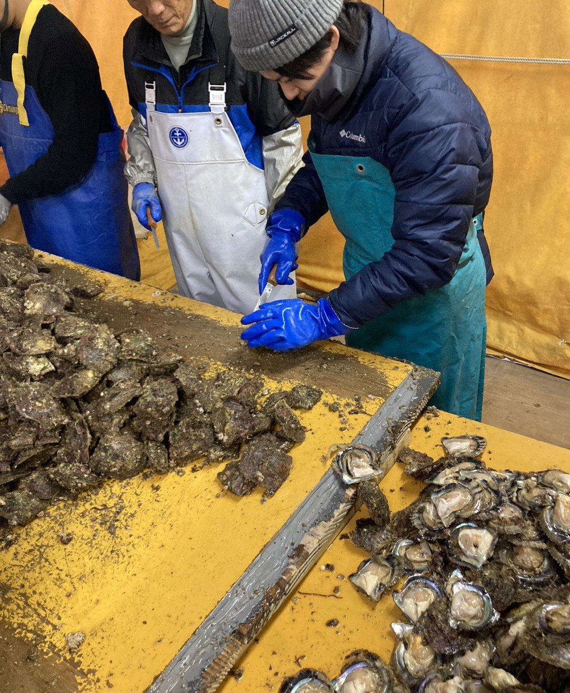 宇和島産】海が育てた奇跡の輝き。世界に一つの「ナチュラルブルー