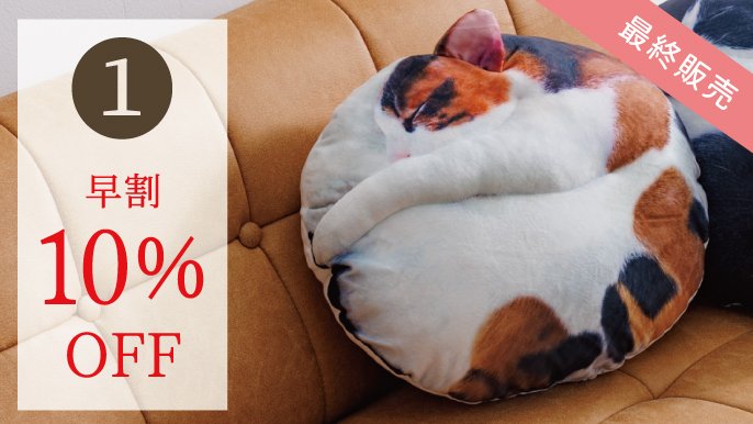 受注会】仲間が増えました！猫の寝姿から生まれた『necomaru〜ね