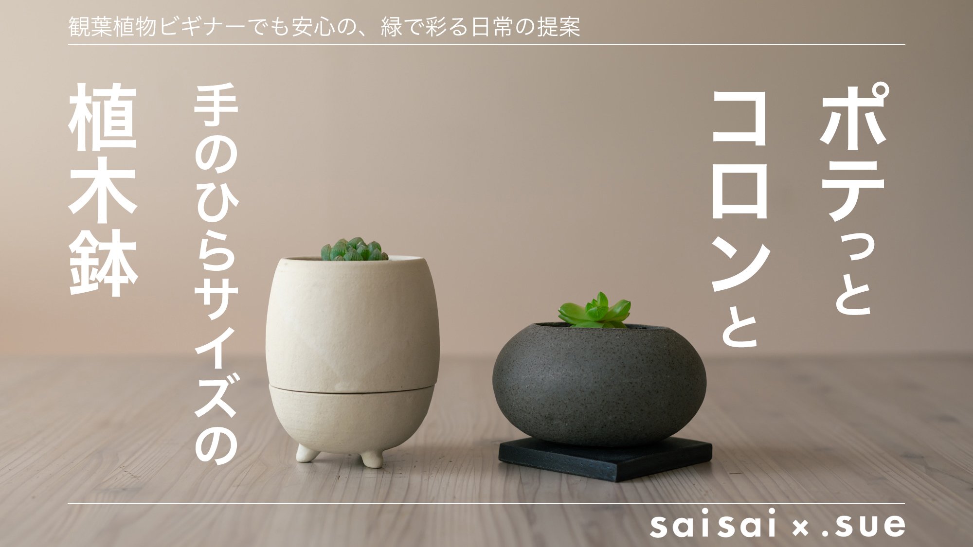 石膏鉢 外径250φ 5個　陶芸用品　粘土吸水鉢　粘土再生 石膏鉢 外径250φ 5個 陶芸用品 粘土吸水鉢 粘土再生（粘土吸水盤
