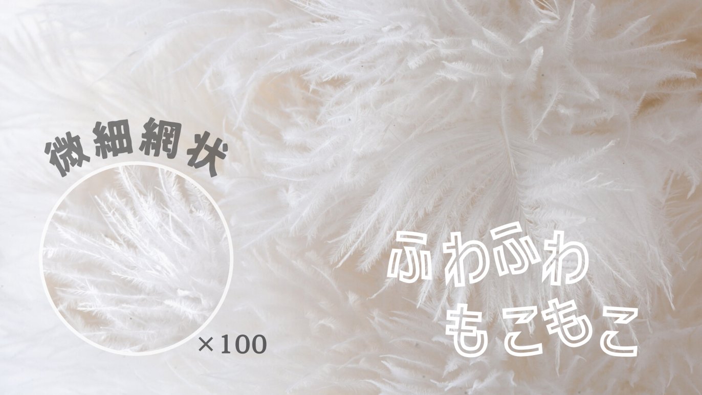 飾るのが好きな人の必需品】お気に入りで大切な物のレイアウトを崩さず