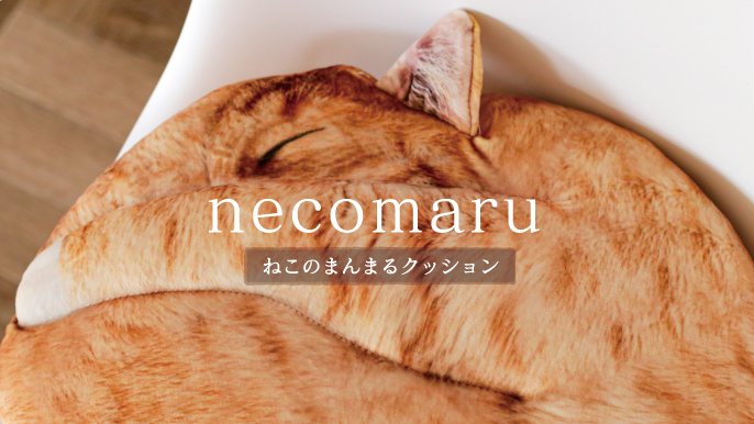 まるで猫！？な“necomaru〜ねこのまんまるクッション〜”でおうち時間に最高の癒しを届けたい！｜Creema SPRINGS