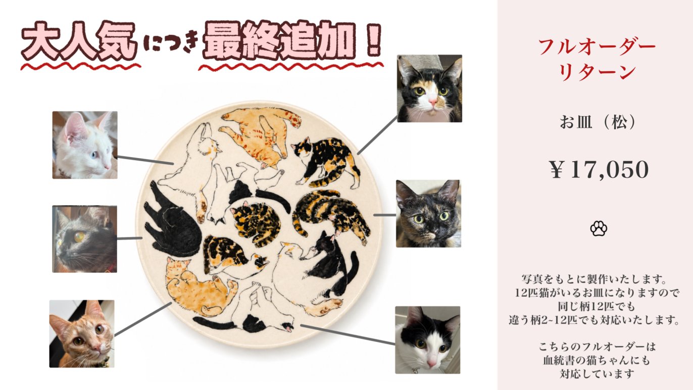 京焼・清水焼の職人技が光る 日常の癒しねこちゃん食器！