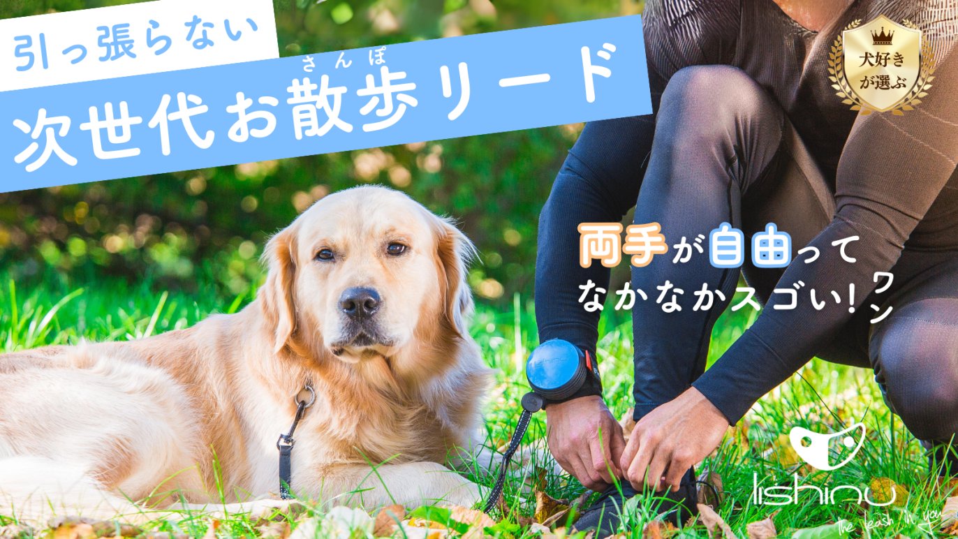 犬 販売 の 散歩 リード