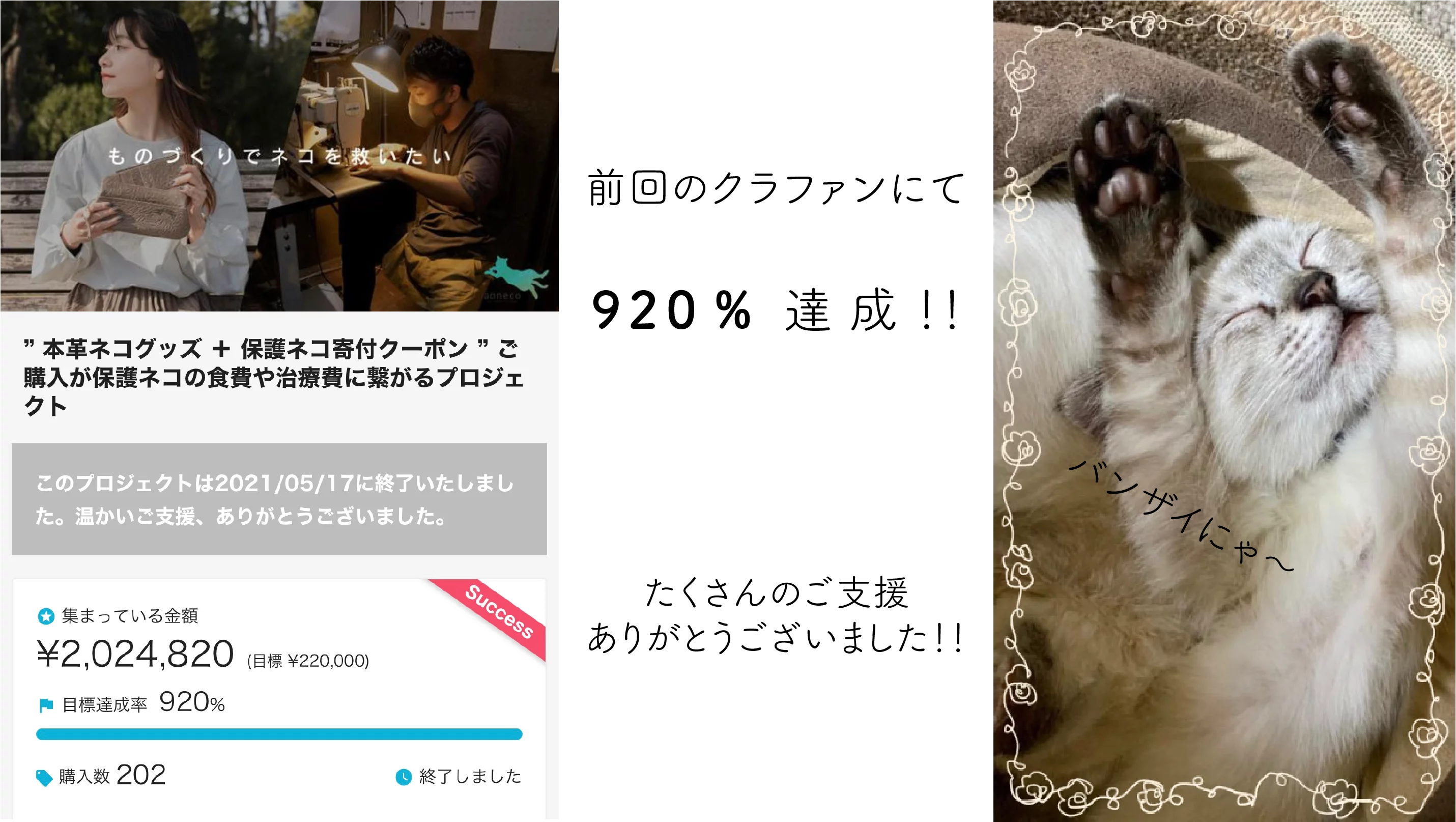 第2弾 限定ネコグッズで保護ネコ支援 商品代金の約10 が保護ネコの食費や治療費に繋がるプロジェクト Creema Springs 第2弾 限定ネコグッズで保護ネコ支援 商品代金の約10 が保護ネコの食費や治療費に繋がるプロジェクト Creema Springs
