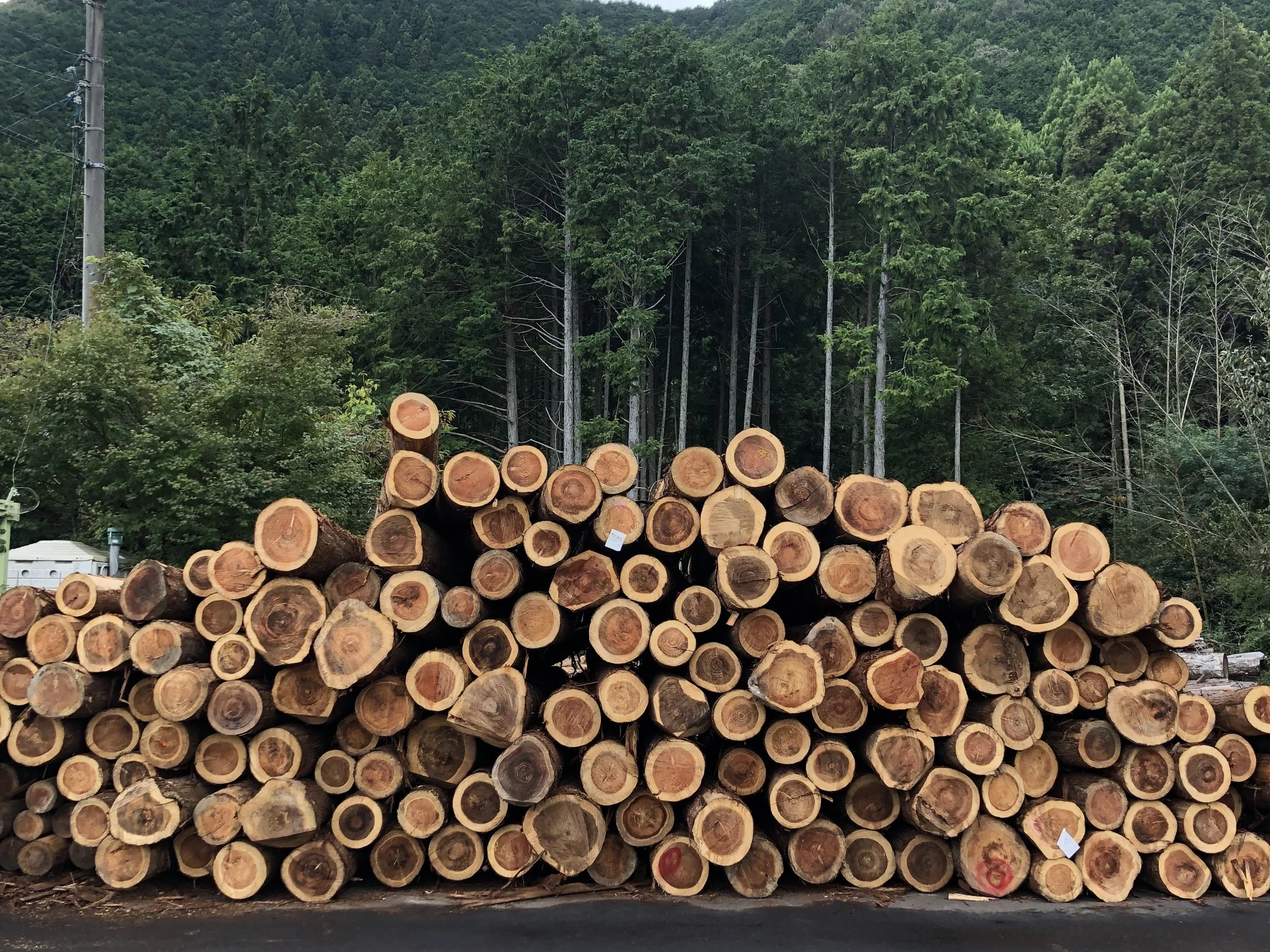 国産ヒノキの一枚板でつくるお風呂テーブルで、贅沢なバスタイム 