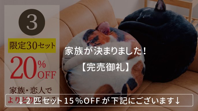 受注会】次猫リクエストNO.1に輝いた“黒猫”誕生！ねこのまんまる