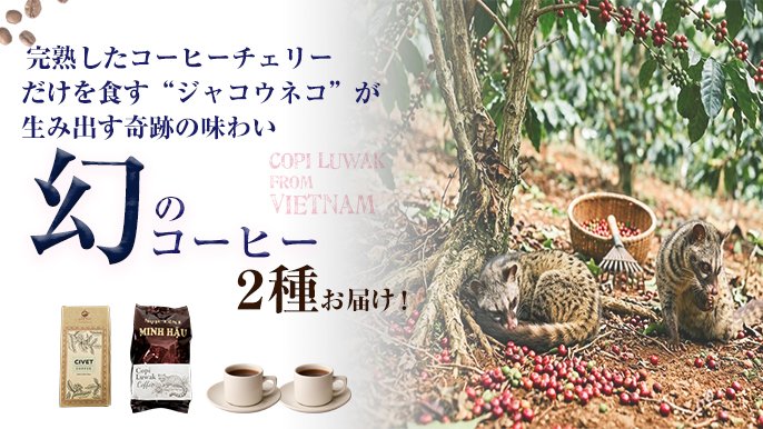 幻の「コピ・ルアク」ジャコウネココーヒー第3弾！農園違いの2種飲み