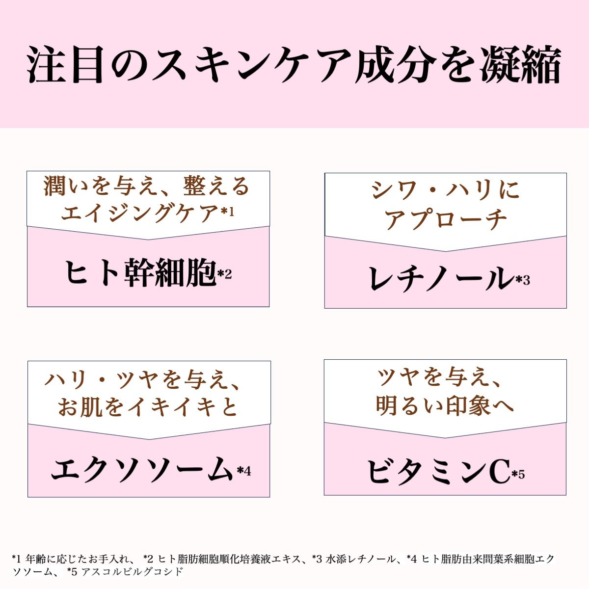 熊野筆 洗顔ブラシ【黄綬褒章受章・匠とコラボ】黒ずみ、くすみ