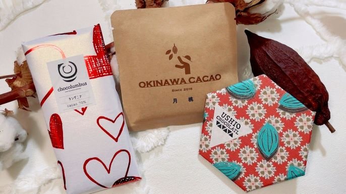 チョコカーで日本一周中！日本中の「