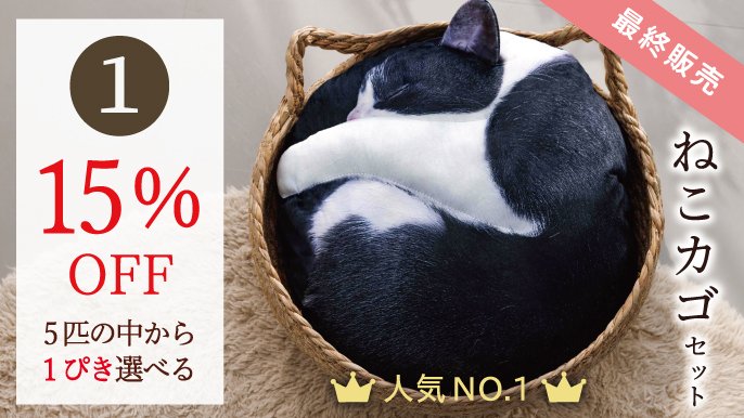 受注会】次猫リクエストNO.1に輝いた“黒猫”誕生！ねこのまんまる