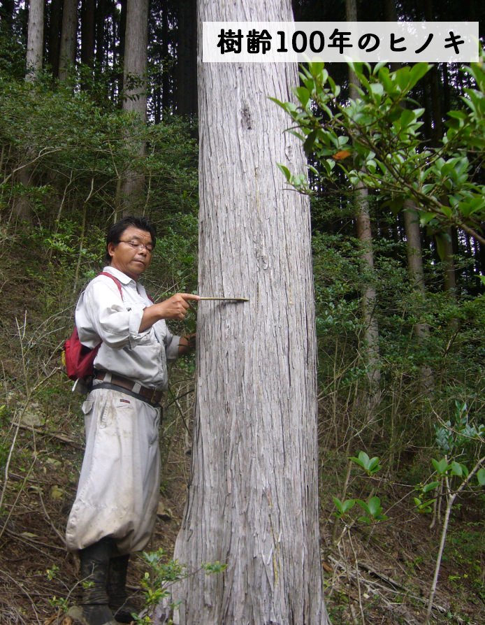 百年の森が育んだ、たったひとつの宝物 「廣吉」育てるように使う