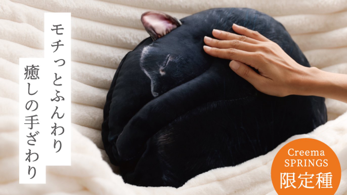 受注会】次猫リクエストNO.1に輝いた“黒猫”誕生！ねこのまんまる 